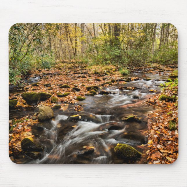 Cataloochee Creek NC Great Smoky Mountains Musmatta (Framsidan)