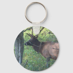 Cataloochee Elk Nyckelring