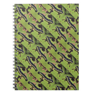 Catalpa avmaskar Camo havskattfiske Anteckningsbok Med Spiral