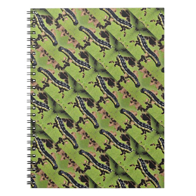 Catalpa avmaskar Camo havskattfiske Anteckningsbok Med Spiral (Framsidan)