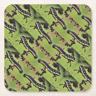 Catalpa avmaskar Camo havskattfiske Underlägg Papper Kvadrat