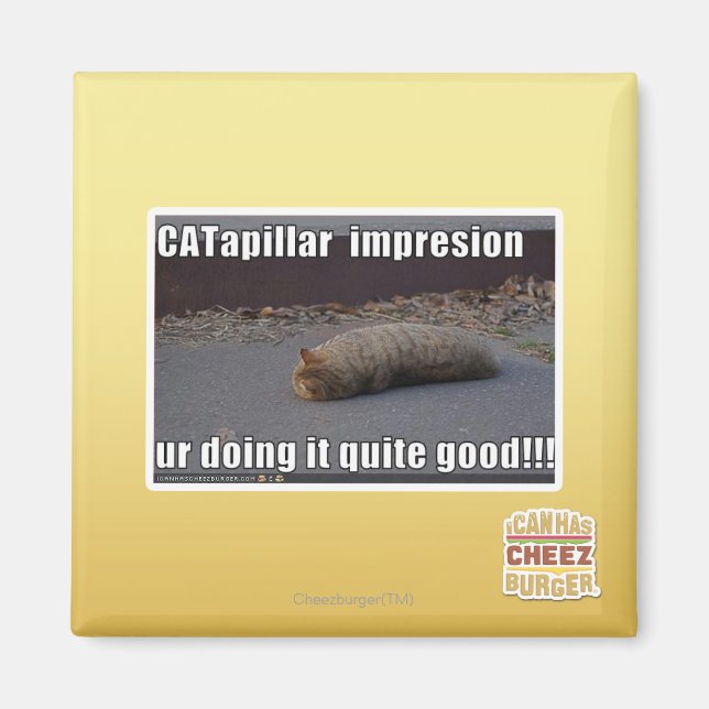 CATapillar Magnet (Framsidan)