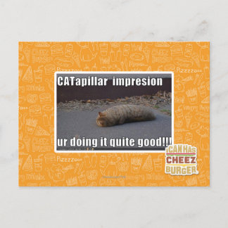 CATapillar Vykort