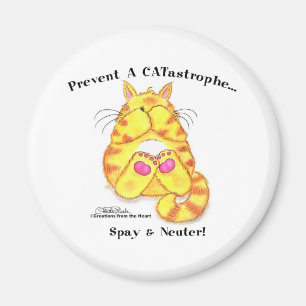 CATastrof Magnet