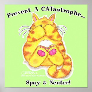 CATastrof Poster