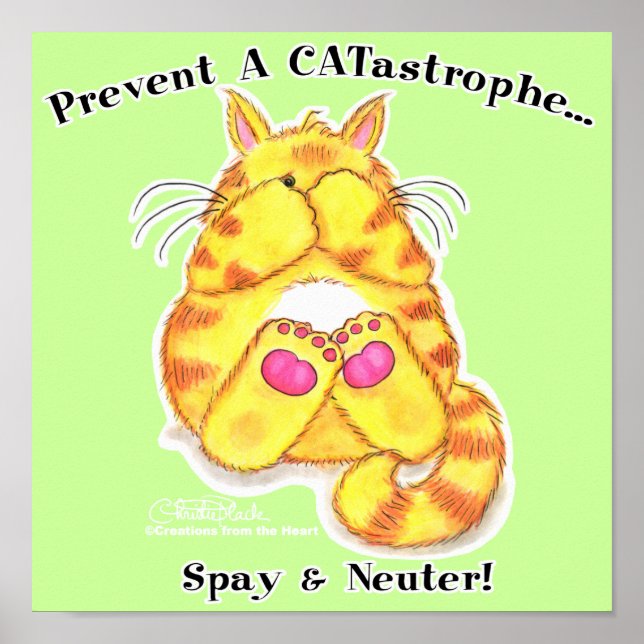 CATastrof Poster (Framsidan)