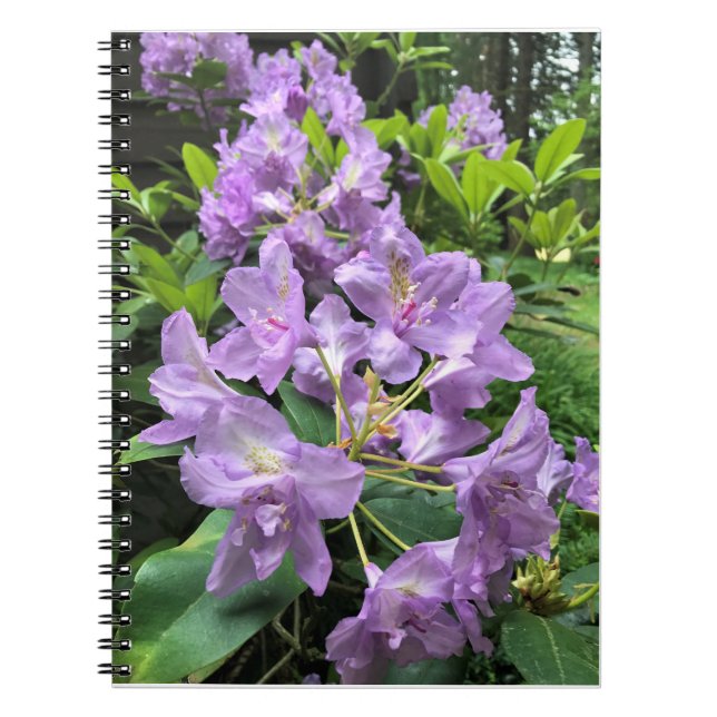 Catawbiense Boursault Rhododendrons, Oregon Anteckningsbok (Framsidan)