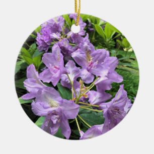 Catawbiense Boursault Rhododendrons, Oregon Julgransprydnad Keramik