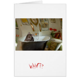CATBATH HÄLSNINGSKORT