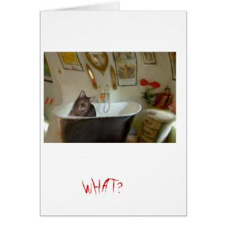 CATBATH HÄLSNINGSKORT