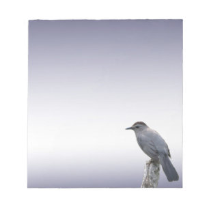 Catbird Anteckningsblock