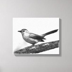 Catbird Canvastryck