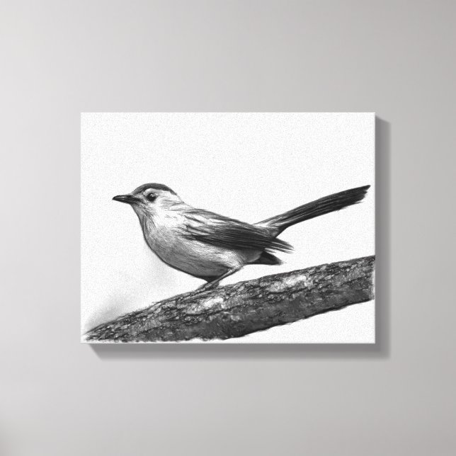 Catbird Canvastryck (Framsida)