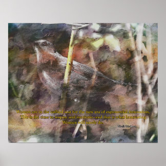 Catbird med Vivek Wadwha-citat Poster