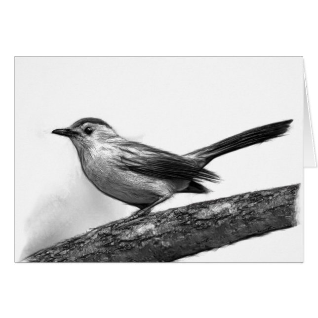 Catbird OBS Kort (Framsidan Horizontal)