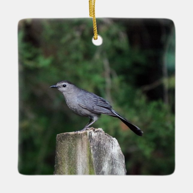 Catbird Ornament (Framsida)