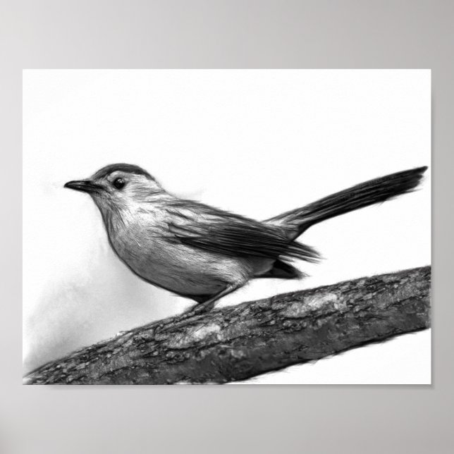 Catbird Poster (Framsidan)