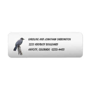 Catbird Returadress Etikett