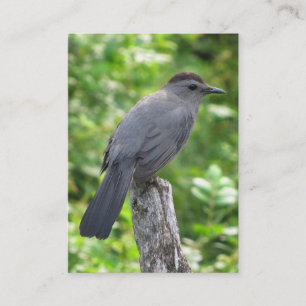 CatbirdATC Visitkort
