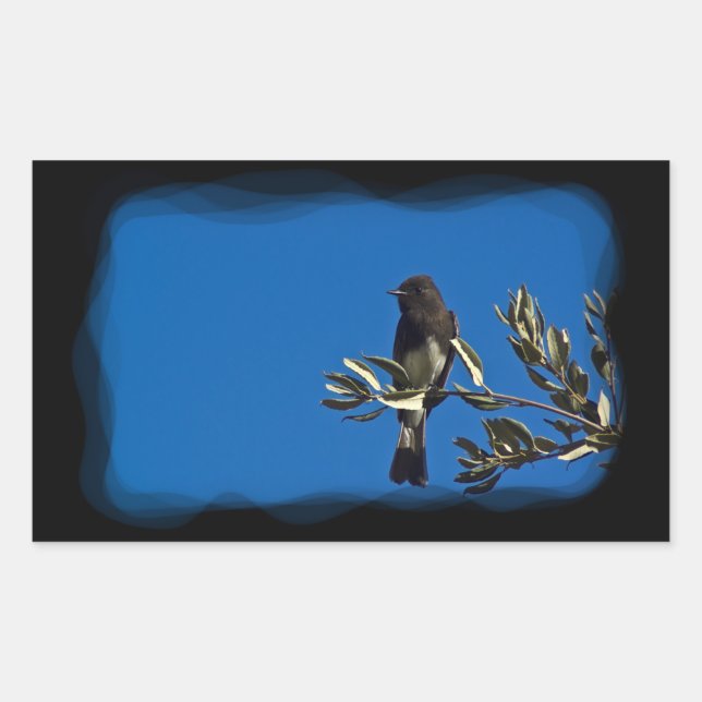 Catcher flygande rektangulärt klistermärke (Framsida)