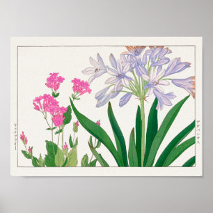 Catchfly, afrikansk lily av Tanigami Konan Poster