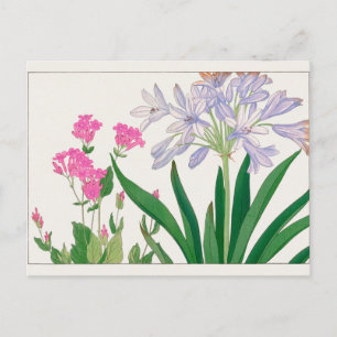 Catchfly, afrikansk lily av Tanigami Konan Vykort