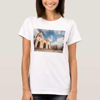 Catedral Cordoba, San Martin Tee Shirt