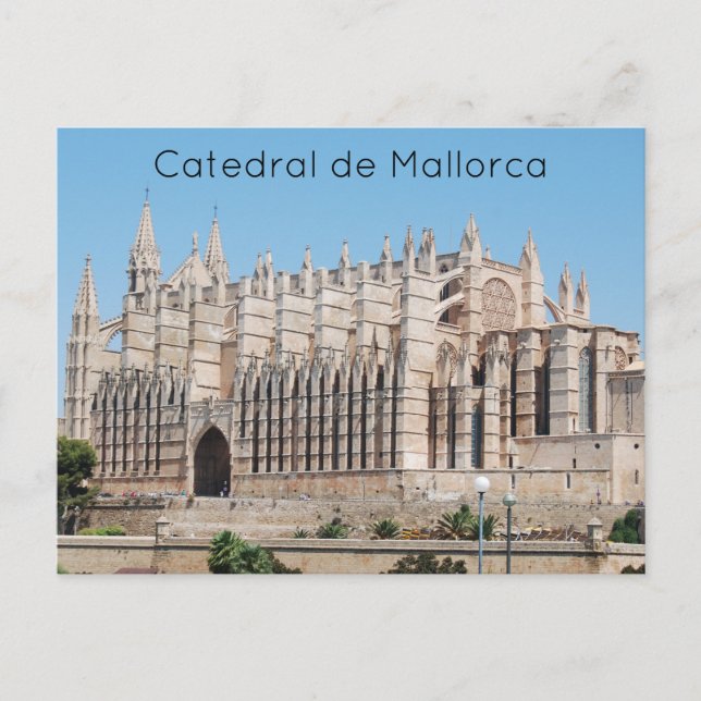 Catedral de Mallorca Vykort (Framsida)