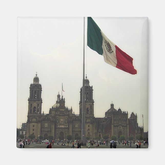 Catedral en el Zocalo del DF con la Bandera Magnet (Framsidan)