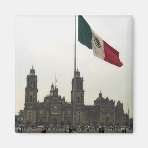 Catedral en el Zocalo del DF lurar la Bandera Magnet