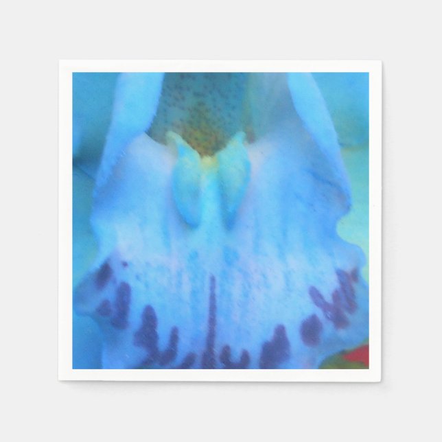 Catelijne Pappersservett (Framsidan)