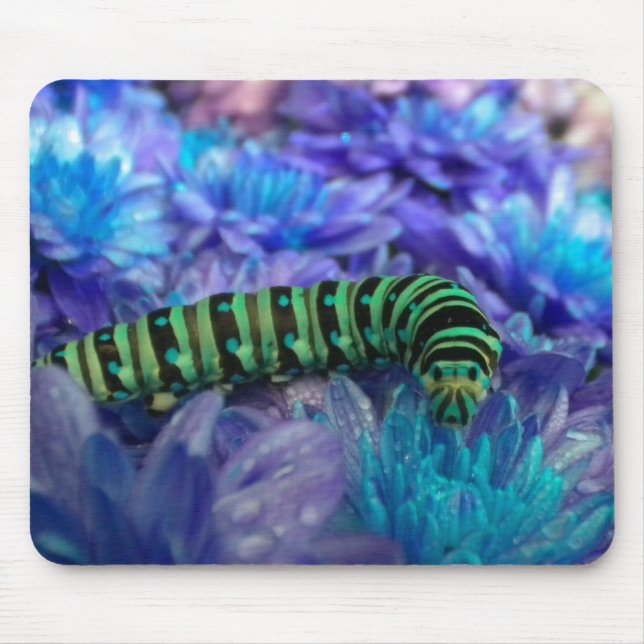 Caterpelare Fantasy Mousepad Musmatta (Framsidan)