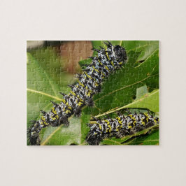 Caterpelare Jigszle Puzzle Pussel