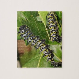 Caterpelare Jigszle Puzzle Pussel