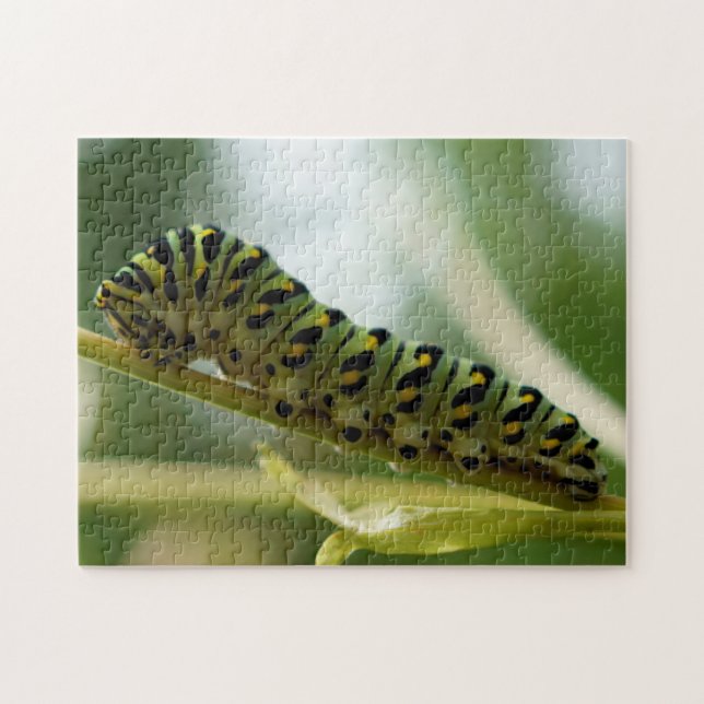 Caterpillar 10x14 pussel (Horisontell)