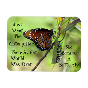 Caterpillar/fjärilscitationsteckenmagnet Magnet