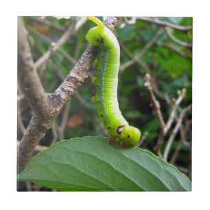 Caterpillar Kakelplatta
