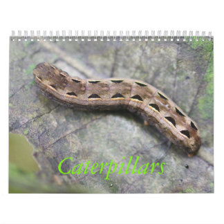 Caterpillar kalender