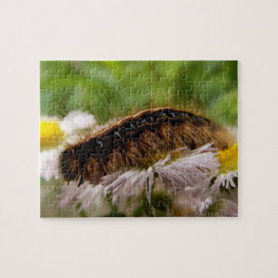 Caterpillar Pussel