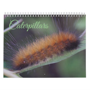 Caterpillarskalender Kalender