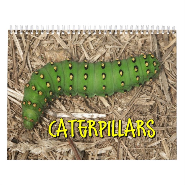 Caterpillarsväggkalender Kalender (Omslag)