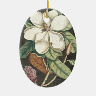 Catesby Vintage Magnolia Botanisk Illustration Julgransprydnad Keramik