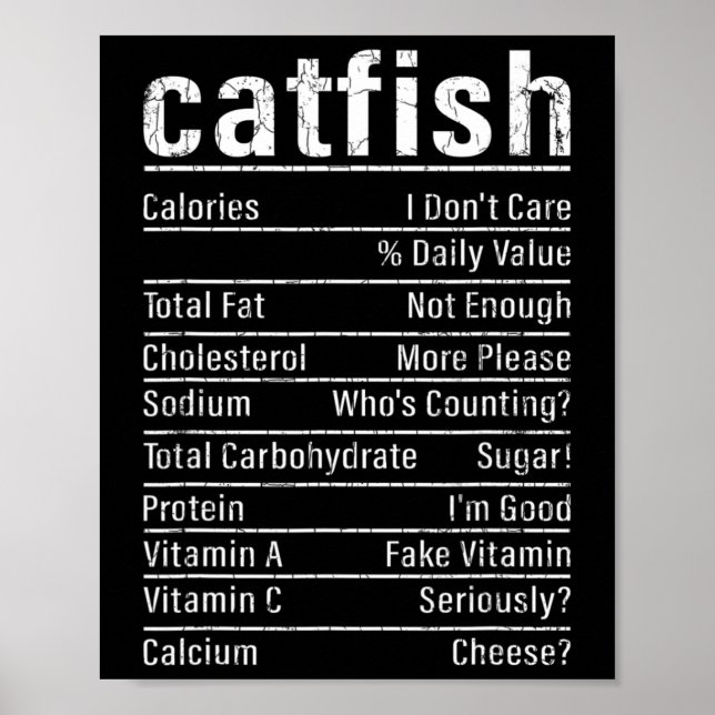 Catfish Facts Funny Fishing Älskare Catfish Graph Poster (Framsidan)