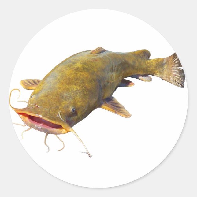 Catfish Läppar Runt Klistermärke (Framsida)