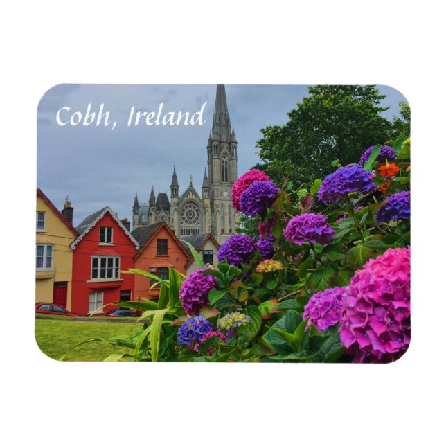 Cathedral and Flowers Cobh Ireland Magnet (Horisontell)