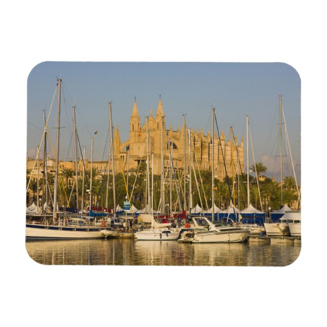 Cathedral and marina, Palma, Mallorca, Spanien 2 Magnet (Horisontell)