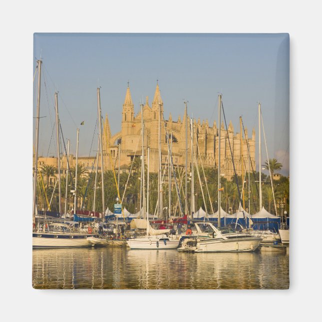 Cathedral and marina, Palma, Mallorca, Spanien 2 Magnet (Framsidan)