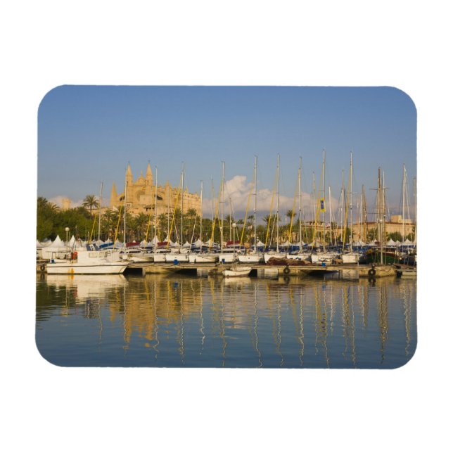 Cathedral and marina, Palma, Mallorca, Spanien Magnet (Horisontell)
