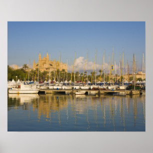 Cathedral and marina, Palma, Mallorca, Spanien Poster