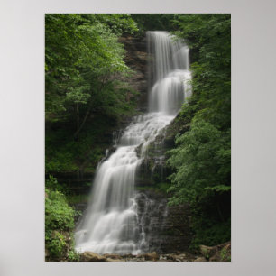 Cathedral Falls, Väster Virginia Poster